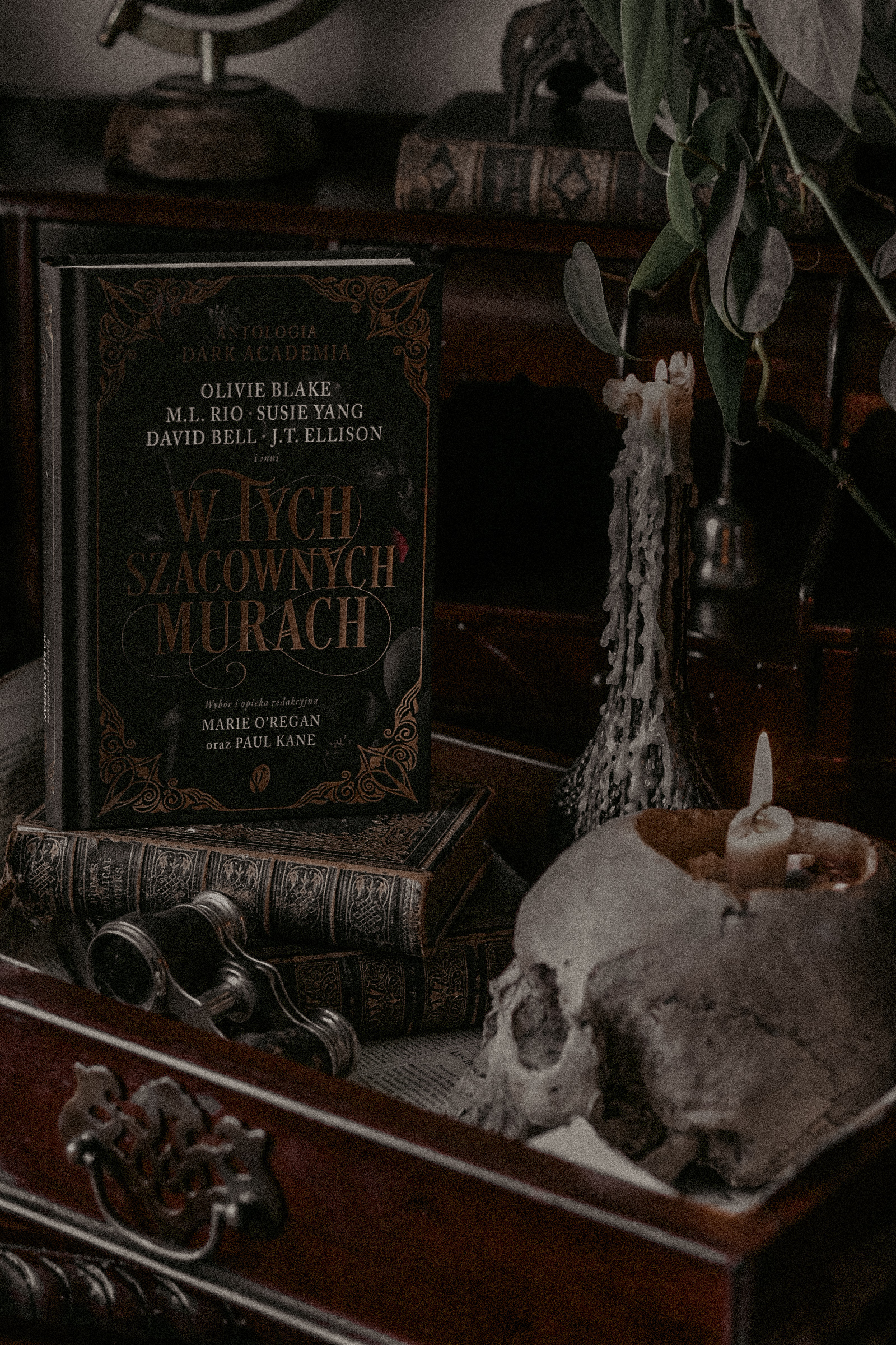 „W Tych Szacownych Murach” – Antologia Dark Academia