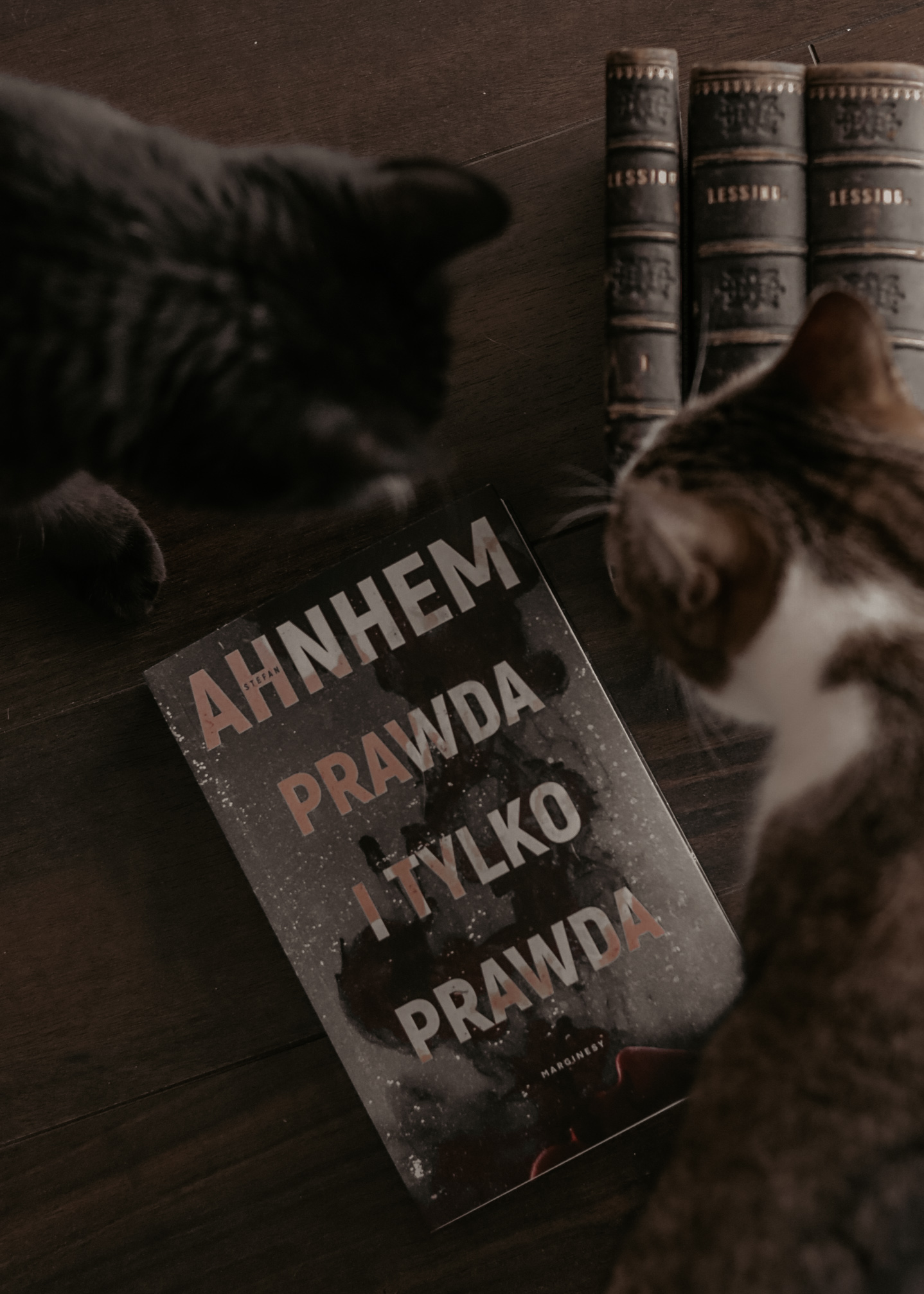 “Prawda i tylko prawda” – Stefan Ahnhem