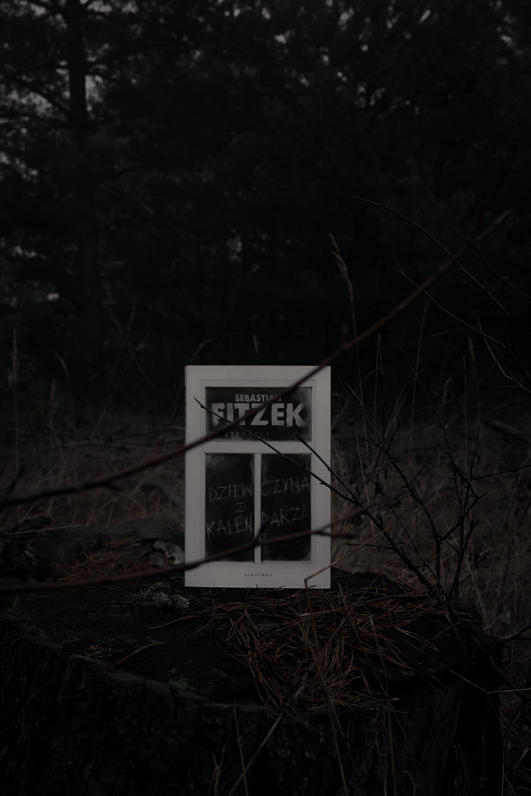 „Dziewczyna z kalendarza” – Sebastian Fitzek