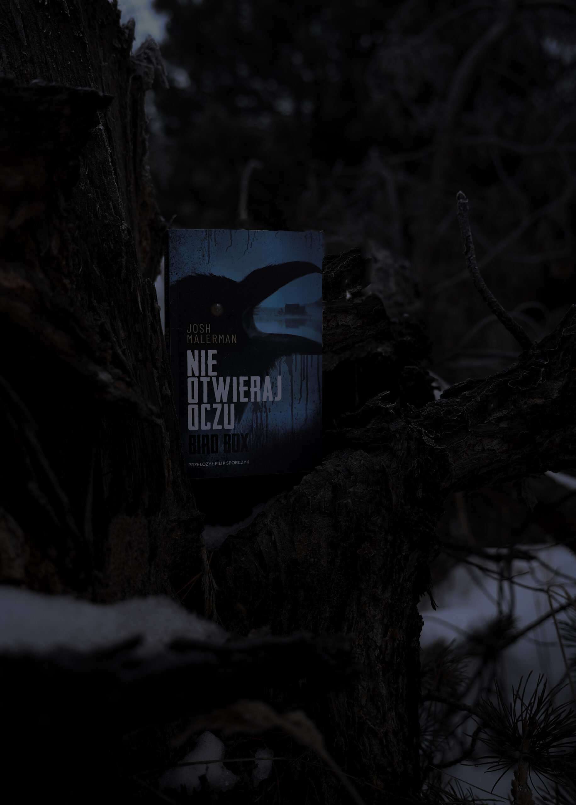 „Nie Otwieraj Oczu” – Josh Malerman