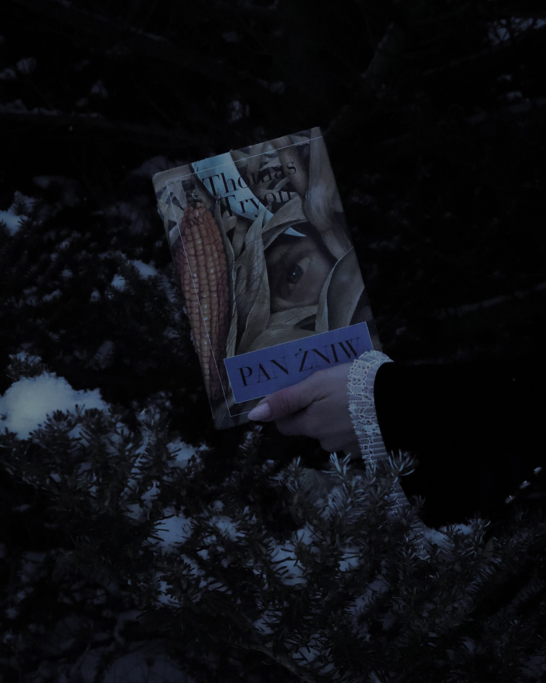 „Pan Żniw” – Thomas Tryon