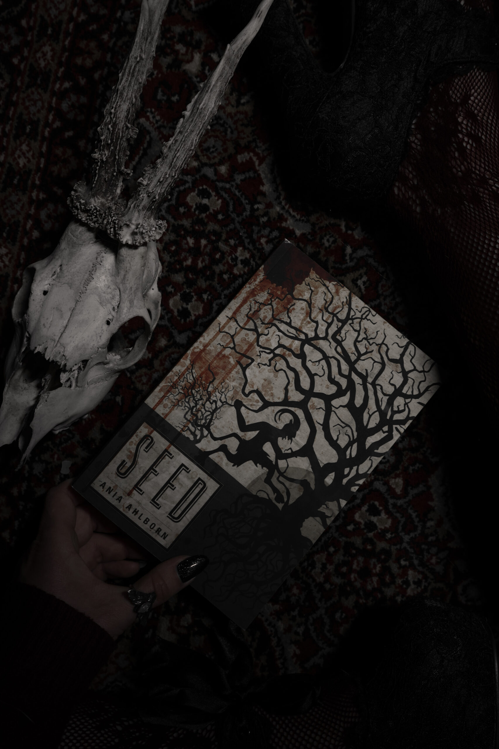 „Seed” Ania Ahlborn