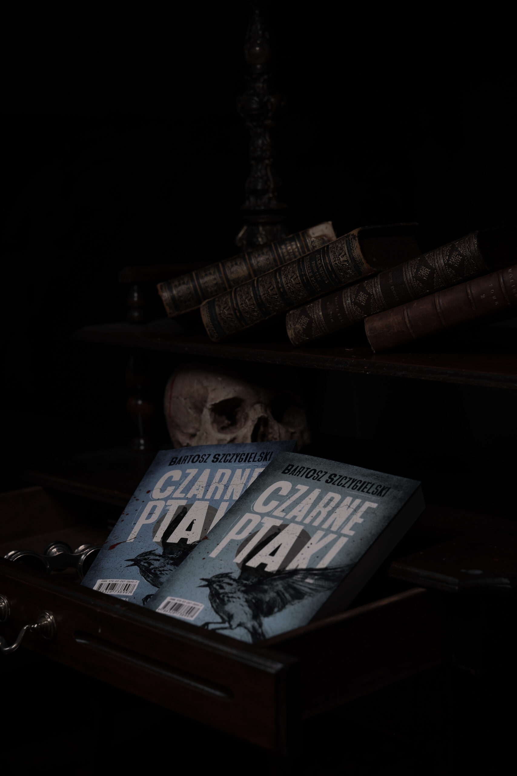 „Czarne ptaki” – Bartosz Szczygielski