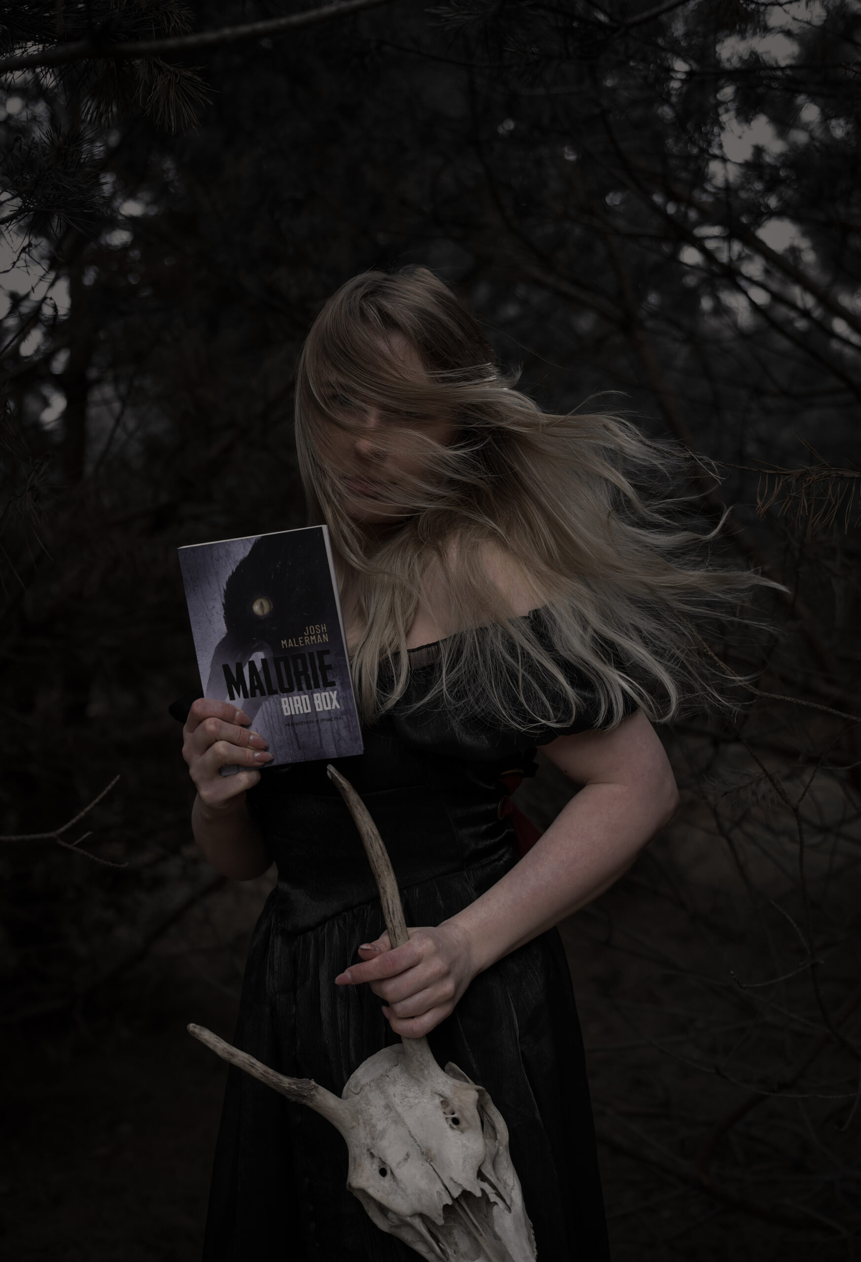 “Malorie” – Josh Malerman