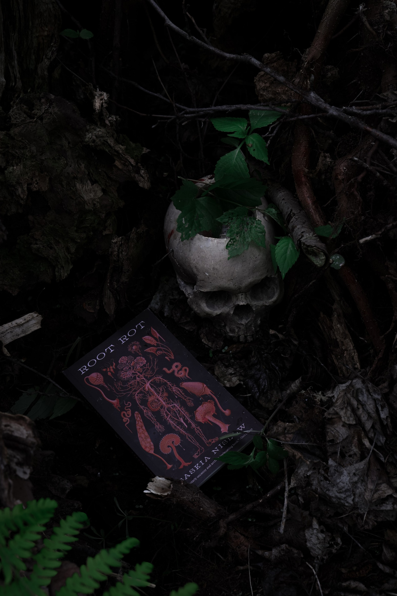 “Root Rot” – Saskia Nislow