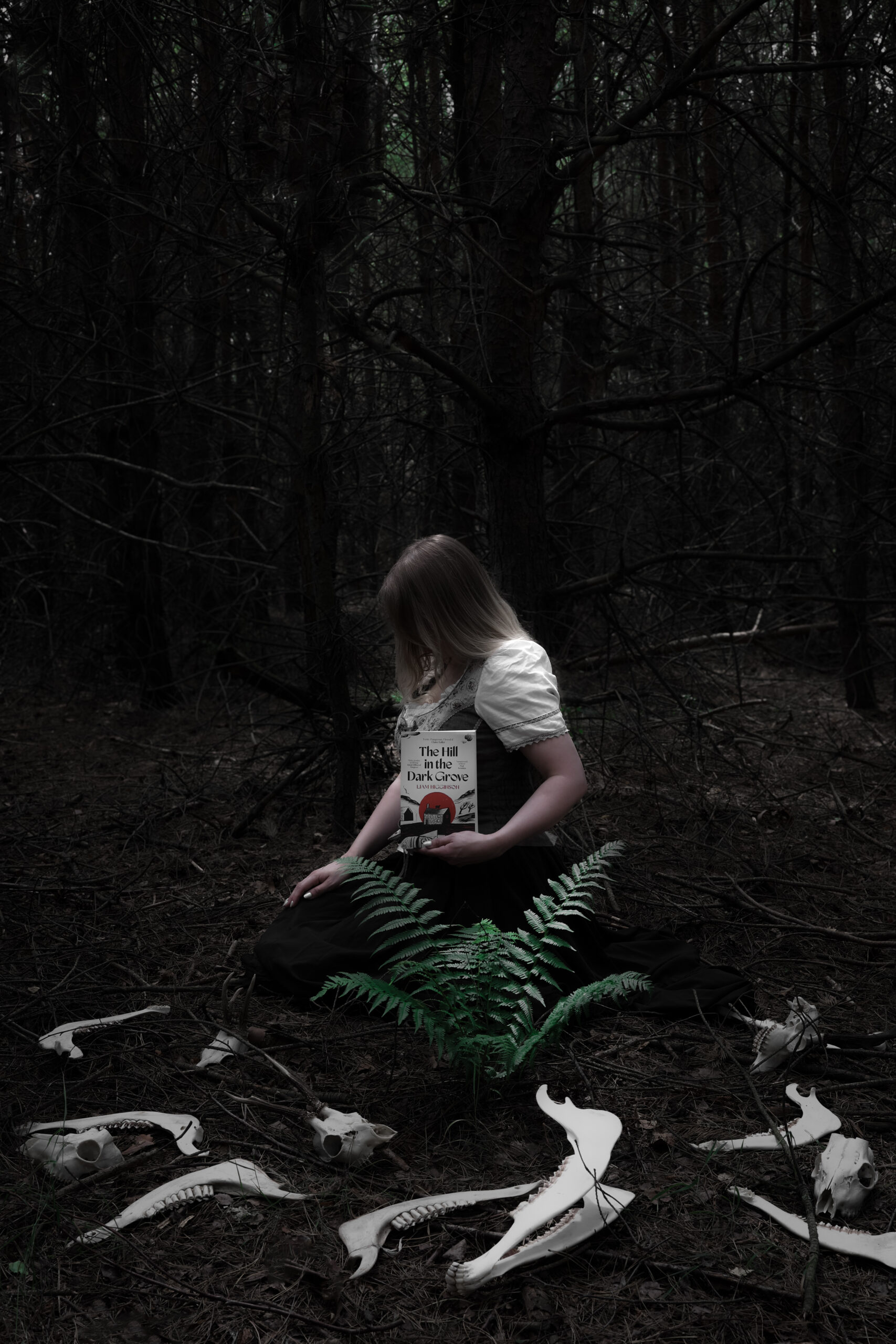 “The Hill in the Dark Grove” – Liam Higginson