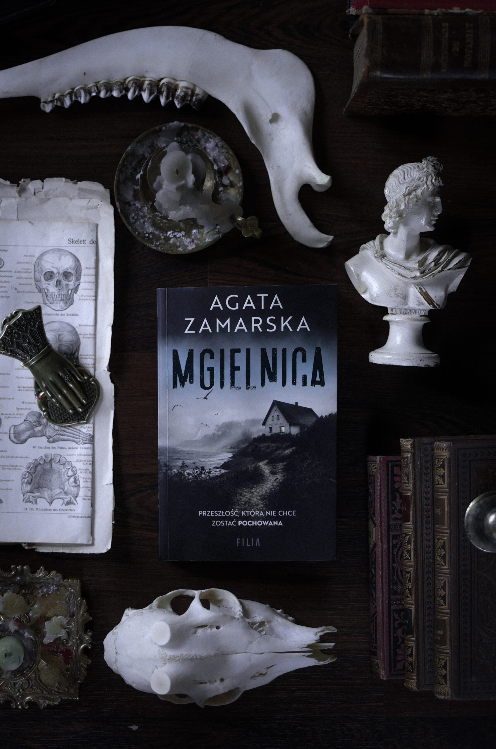 “Mgielnica” – Agata Zamarska