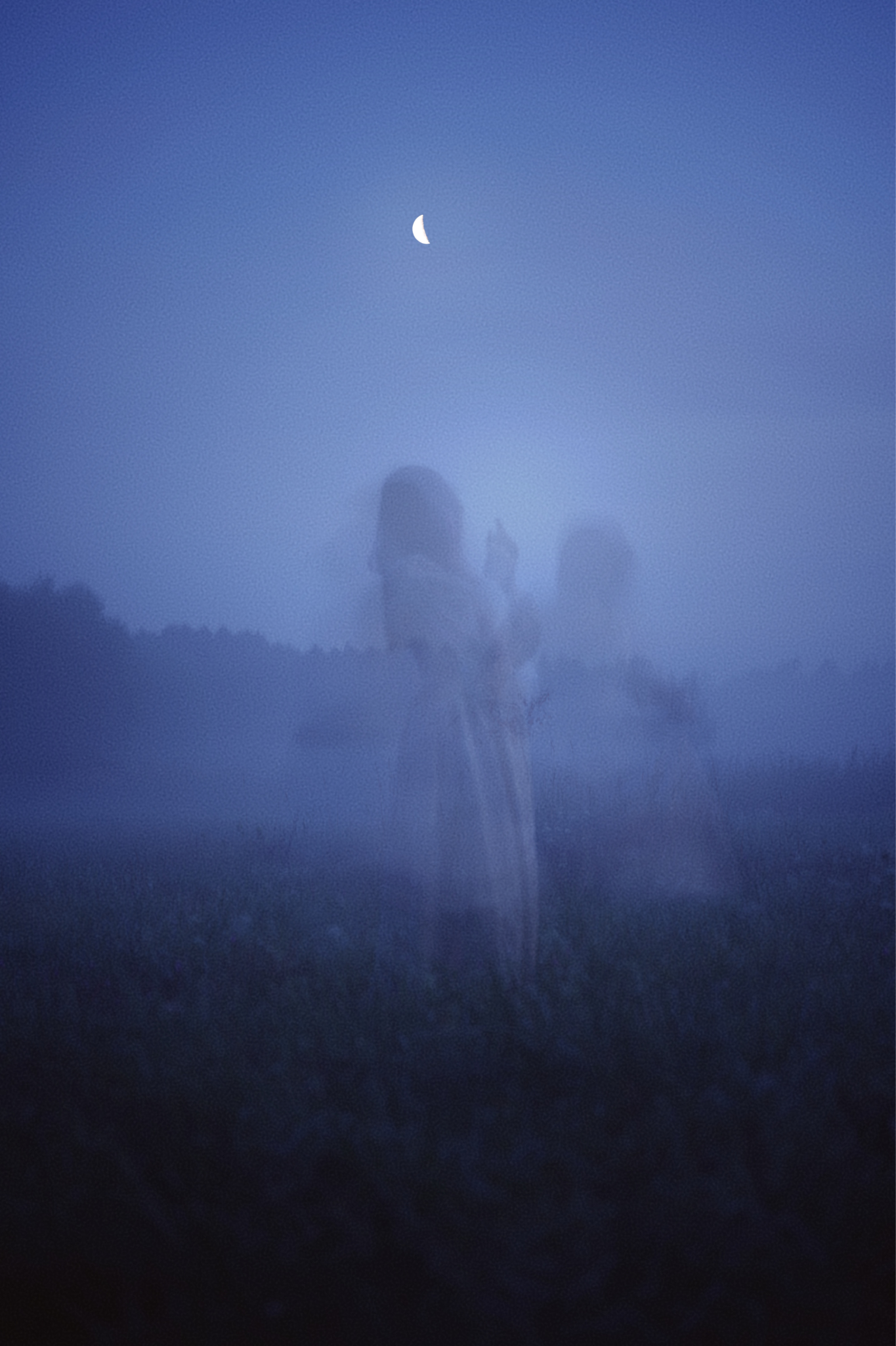 Ghost in the fog